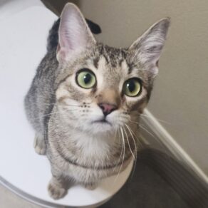 B3f3794888a4758f49764a0e673a1f22