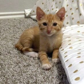 B3f83e488e44d943717ac45a06a02e01