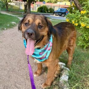 B4c5c12826222932a93ebaa7ea6d5442