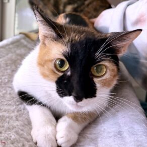 B5bb296699127a05f5a7faad34481e44