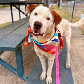 B8a8de9438da465b00da48dfce08a1c5