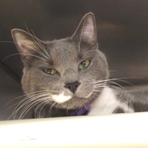 B8df2cc12d8c286d05459cdede87430a