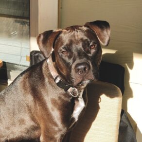 B9018b918cc7238283d6dd718e684088