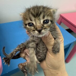 B94b24292767b21e19de83bab2dc508f