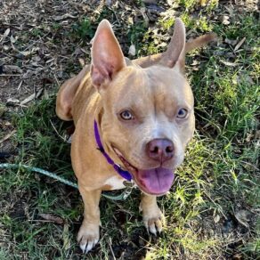 B9af88487468fd132916a33c7f79f4c9