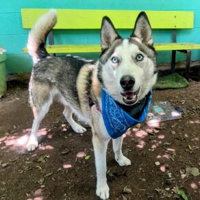 Bc9aa39ed0925e482c2e3a086d580543