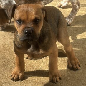 Bde43832b94127a3b99ab70052804d1e