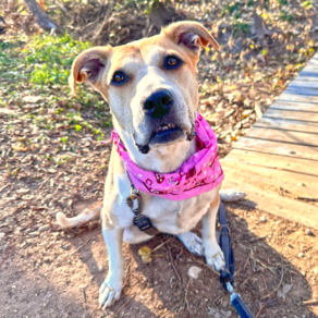 Be07a85761b872dd1472c32a38da9f01