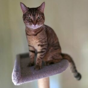 Bf00253777f9929fda3d277fdbfe20ff