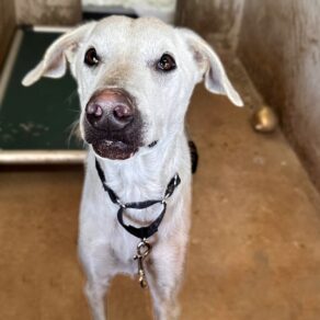 Bf220b9476fc607faa8fffb45a0830bc