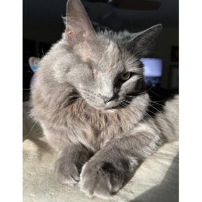 Bfbe288a09c3b26f129e889a2ec52916