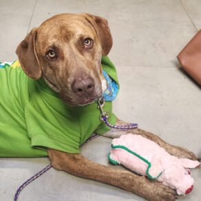 C7115574db8fe0d5ce3c12b4f87c7604