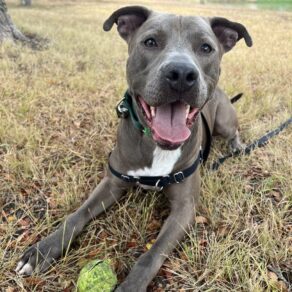 Cbbfc39089c1aea78e45ea049f632ea8