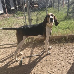 Cbf47e33bc5314cdd5bff82e7f2ed1b6