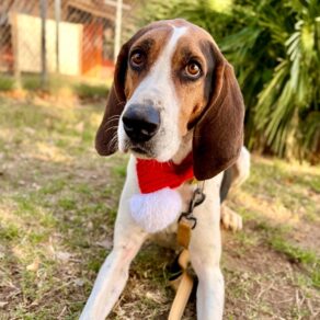 Cd975b81a9e04b9200cf0b13fdc3f0f9