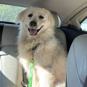 Cf455f77edf887af37bf201836b14634