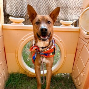 Cffa74dbd1abe965c3ea21a2c49c7f9c