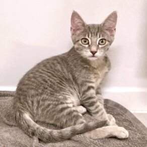 Cffec0c59a95a2d5cf7f3209f57e2433