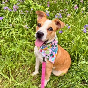 D00be43005105cbbd62584b2cee97d40