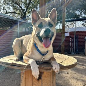 D10dac2f68389918bb04098bd12f33ea