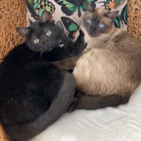 D351f6fa7b4483ca6449e04ec362e6fb