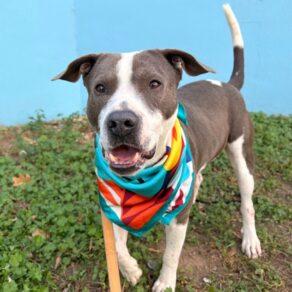 D53609616954b16b8c46690e128a68cc