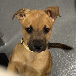 D582b4a30a5a9494cdaa169d85c52846