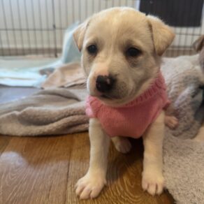 D5c20bf8a98b24a9022bdedce04cd13d