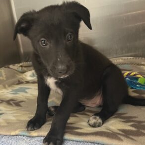 D7473cca541eae1a0c4a773383238c59