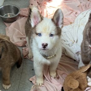 D7b29fb5d4fdd56c7bbc9adc2ce94d25