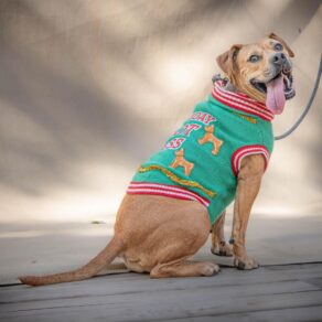 D7b2dfdee133f51733e3bf05bcd779e5