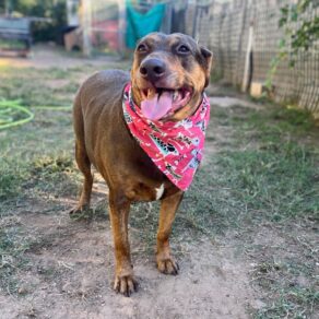 D9c022a85d610334d43349109d628ecc