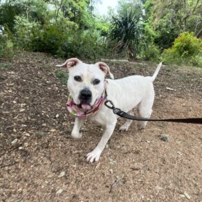 Da365230962bfe244e1329a5b12d073c