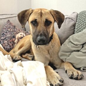 Dbdb35859222a13696a678547fa4670f