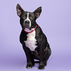 Dd0e00688db0fab3bb13ef0674a3920d