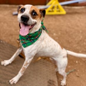 Dd23559afb9858994569001e510232a9