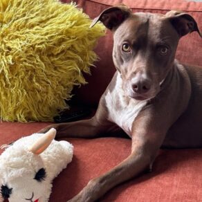 De66d90c5f3607dac056020e28f8cf54