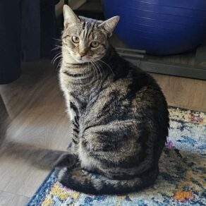 E044b30b12280d70157736226315536b