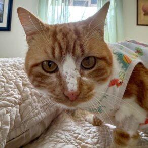 E0642a732c500a69e061dc3cc7045572