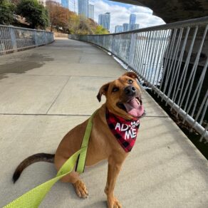 E087fa8b3ea859bad0cc7180b75c196a