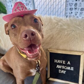 E09db5dcee3124698cb8efa15a124a19