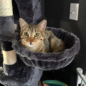 E3464d1c9c83c9a5faf4f0a645a0b8d4