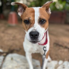 E3622e54bc6263896ff1a59ee3799446