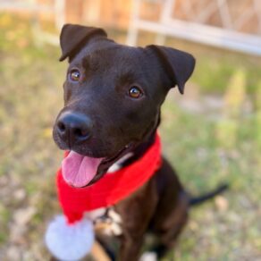 E43433ce0da0efaaa57e92e89592a820