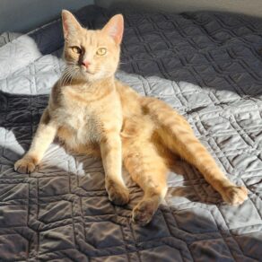 E489f365830d9ca6510367858afb37e0