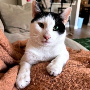 E747360664bb3c335830b3b76db02d0f