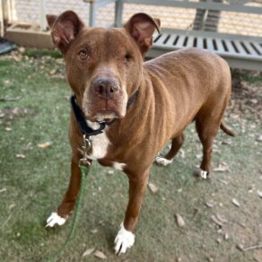 E7c3a3b1fe6e651ea7cac2f5570b935c