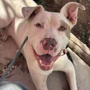 E87594bed851fd14734a7816c0996bed