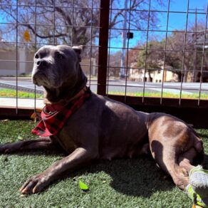 Eb541c6fd88d1dada435a43a98c8eeb6