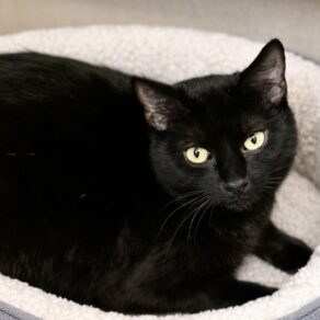 Ec649b70d30fad632bf90c38cb4b8777